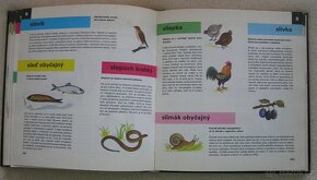 Dětská encyklopedie, CZ a SK verze - 5
