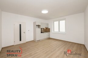 Pronájem, byty/1+kk, 30 m2, Puškinova 2141/14, Severní Předm - 5