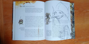 Brian Froud - velké knihy ilustrací víl a skřítků + karty - 5