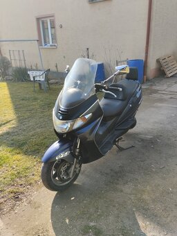 Suzuki Burgman 250 - 5