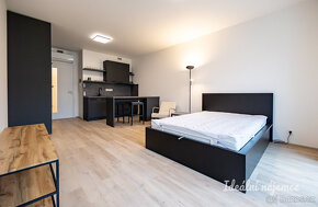 Pronájem bytu 1+kk, Šrámkové, Žižkov, 22500 Kč/měs, 36 m2 - 5