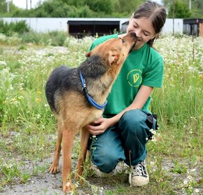 LILLA K ADOPCI - přátelská, vděčná, čeká na anděla - 5