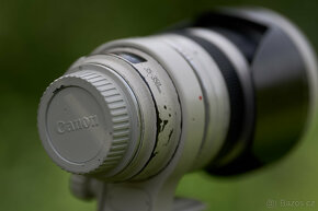 Canon EF 35-350 F3.5-5.6L USM - 5