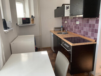 Pronájem bytu 1+kk 36 m² Albertova, Hradec Králové - 5