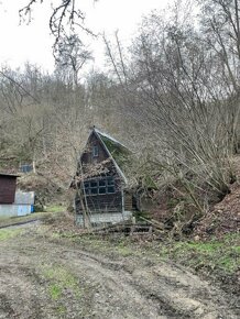 Prodám chatu v k.ú.Bojanovice s přilehlými pozemky - 5