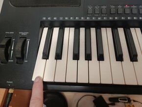 Yamaha PSR 6000 - 5