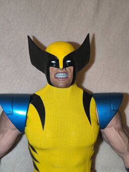 Hono Studio Wolverine (Hot Toys) - 5