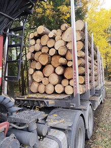 Vyvážečka dřeva za čtyřkolu, malotraktor - 5