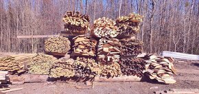 Stavební řezivo - desky - latě - hranoly - trámy - dřevo - 5