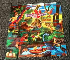 Svět dinosaurů 3D + puzzle - 5