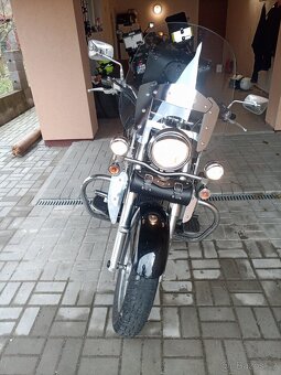 Kawasaki VN 900, classic 37KW R.V. 2009 - 5