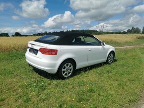 Audi A3 cabrio 1.6 75kw - 5