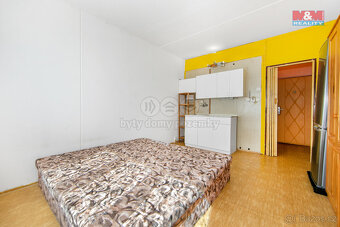 Prodej bytu 1+kk, 20 m², Heyrovského ul, Plzeň - Doudlevce - 5