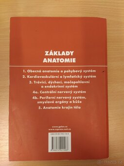 Základy anatomie - periferní nervový systém, smyslové orgány - 5