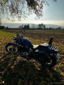 Honda VT750DC Black Widow – skvělý chopper v top stavu - 5