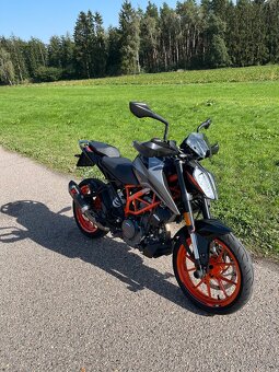 Ktm Duke 390, 2022, Akrapovic, Quickshifter - 5