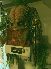 Elder Predator - Predator 2, hlava life size, rarita - 5