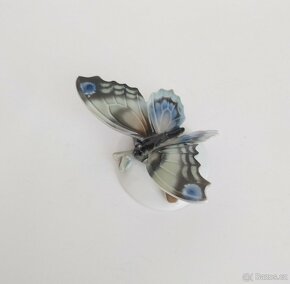 Sběratelský motýl Rosenthal - 5