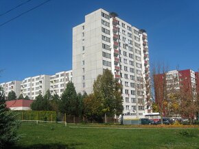 Prodej DB 1+kk, Veselí nad Lužnicí - Blatské sídliště - 5