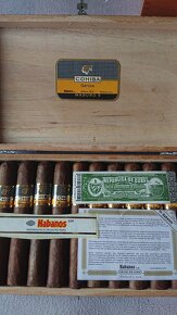 Cohiba Genios (Maduro 5) - 5