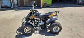 ATV Peidu Leopard CM250ST-6 - 5