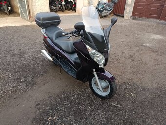 Honda s wing 125i  CZ doklady v ceně Vínový - 5