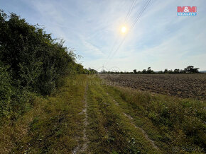 Prodej ovocného sadu, 25918 m², Dolní Nezly u Litoměřic - 5