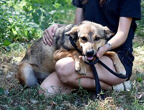 GWENDA K ADOPCI - SKORO ROČNÍ, HODNÁ,HRAVÁ HOLČIČKA - 5