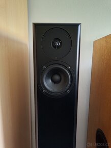 Audio physic Virgo II - 5