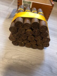 Cohiba habanos robustos - 5