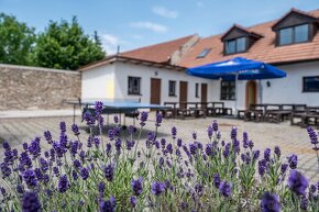 Pronájem restaurace, Břežany I. u Kolína - 5