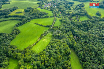 Prodej pastviny s lesním pozemkem 22.174 m² v Homoli u Panny - 5