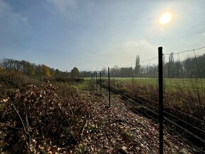 Prodám pozemek v osobním vlastnictví 1887m2 - 5