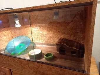 OSB terarium - 5