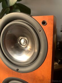 Repro KEF IQ5 - 5