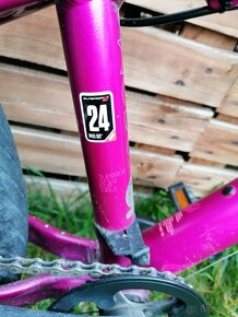 Kolo Superior Modo XC 24 pink - 5