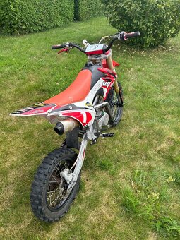 Pitbike WPB 125 - 5