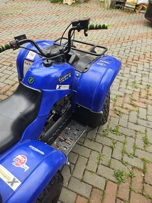 YAMAHA GRIZZLY 125 - 5