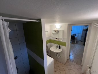 Pronájem rodinného domu 40 m², pozemek 0 m² Doubravice nad S - 5