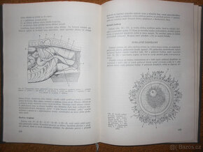 Kniha - Anatomie a fyziologie hosp. zvířat - 5