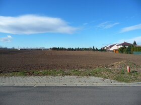 Prodej stavebního pozemku - Mikulovice, 4.531 m2 - 5