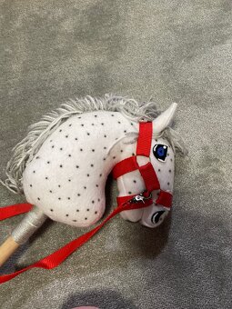 Hobby horse - 5