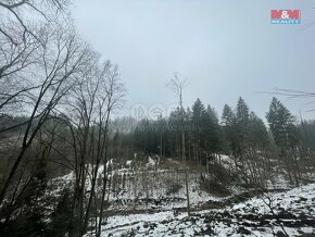 Prodej, les, 12219 m2, Smrčí u Semil, Záhoří - 5