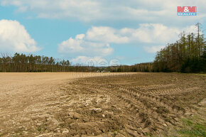 Prodej pole, 5839 m², Předenice - 5