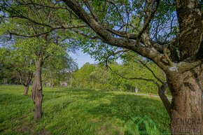 Prodej stavebního pozemku v obci Široký Brod - Mikulovice - 5