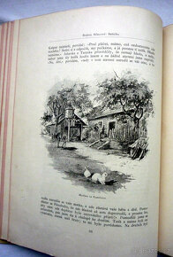 Němcová - Babička 2. vydání 1895 - 5