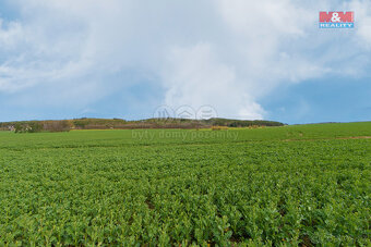 Prodej pole, 5653 m², Čižice - 5