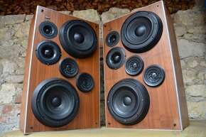 Dynaudio P46 - 5