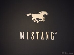 Mustang - 5