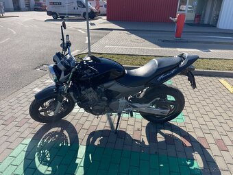 Honda Hornet 600 - 5